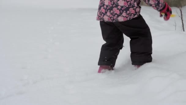 Winter, vacation, games, family concepts - middle plan of authentic little preschool minor 3-4 years old girl in purple on snow-covered meadow plays with snow in countryside. child runs on snowy area — Stock Video