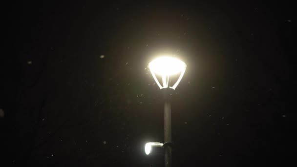 Increíble nevada en el parque nocturno de la ciudad sobre fondo de linterna de luz brillante a principios de invierno toma la sartén. paisaje urbano por la noche. Meteorología, Clima, Fenómenos Naturales, Feliz Navidad y Feliz Año Nuevo Concepto — Vídeos de Stock