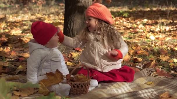 Authentic little cute caucasian preschool children girl infant baby sisters in fallen yelow leaves in Autumn park or forest. Kids have spend time. Family in fall. Nature, Season, Childhood concept — Stock Video
