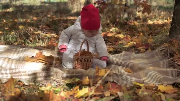 Αυθεντικό χαριτωμένο μικρό χαριτωμένο χαρούμενο παχουλό καυκάσιο κοριτσάκι 6-8 μηνών με κόκκινο καπέλο κάθεται σε καρό σε πεσμένα φύλλα yelow στο πάρκο φθινόπωρο ή δάσος. Παιδιά το φθινόπωρο. Φύση, Εποχή, Παιδική μέριμνα — Αρχείο Βίντεο