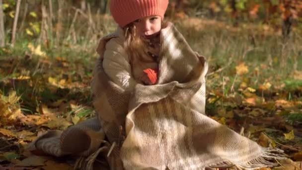 Authentische kleine niedliche kaukasische Vorschulmädchen 3-4 Jahre in orangefarbener Baskenmütze, die in eine Decke gehüllt auf dem Boden in fallenden gelben Blättern im Herbst Park oder Wald sitzen. Natur, Jahreszeit, Kindheitskonzept. — Stockvideo