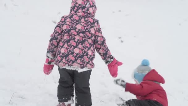 Vacation, game, family concept - slo-mo authentic Two happy preschool toddler kids siblings slide down the hill and help each other climb up. snowfall in cold season weather in winter park outdoors — Stock Video