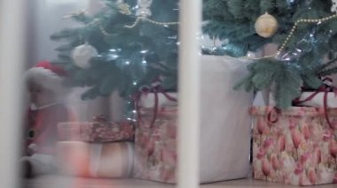 Noel Baba şapkası takan, kırmızı elbiseli, mutlu, mutlu, tombul bir kız çocuğu. Yeni yıl atmosferini kutlarken evdeki Noel ağacının yanında iyi eğlenceler. Çocukluk, bayram, kış konsepti