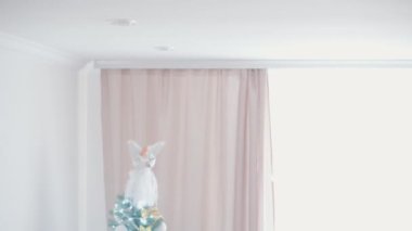 Noel Baba şapkası takan, kırmızı elbiseli, mutlu, mutlu, tombul bir kız çocuğu. Yeni yıl atmosferini kutlarken evdeki Noel ağacının yanında iyi eğlenceler. Çocukluk, bayram, kış konsepti