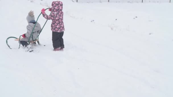 Wakacje, gra, koncepcja rodziny - slo-mo autentyczne Dwa szczęśliwe dzieci przedszkola rodzeństwo chłopiec i dziewczyna w kapeluszu i rękawice sanki i toczenia się po saniach. opady śniegu w lesie zimowym na zewnątrz — Wideo stockowe