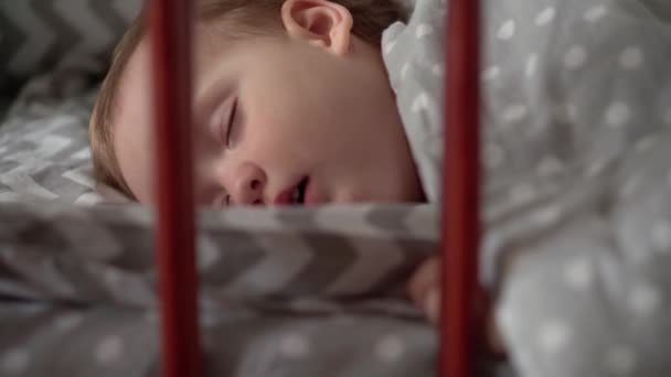 在午饭时间，与泰迪熊在卧室的婴儿床里美美地睡上一觉。小孩躺在灰色的床上。童年、父母、医药、健康概念 — 图库视频影像