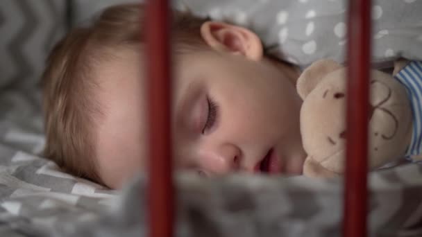 Nahaufnahme authentische süße kleine Säugling pummelig Baby Mädchen oder Junge schlafen süß in der Krippe mit Teddybär im Schlafzimmer während der Mittagszeit. Kind liegt in grauem Bett. Kindheit, Elternschaft, Medizin, Gesundheitskonzept — Stockvideo