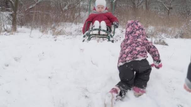 Wakacje, gra, koncepcja rodziny - slo-mo autentyczne Dwa szczęśliwe przedszkolne rodzeństwo dzieci w kapeluszach i rękawicach sanki i toczenia się wzajemnie. opady śniegu w okresie zimowym Pogoda w lesie zimowym — Wideo stockowe