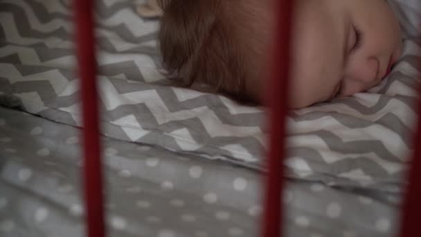 Närbild äkta söt liten baby knubbig liten flicka eller pojke sova sött i spjälsäng med nalle i sovrummet under lunchtid. barnet ligger i grå säng. Barndom, föräldraskap, medicin, hälsa — Stockvideo