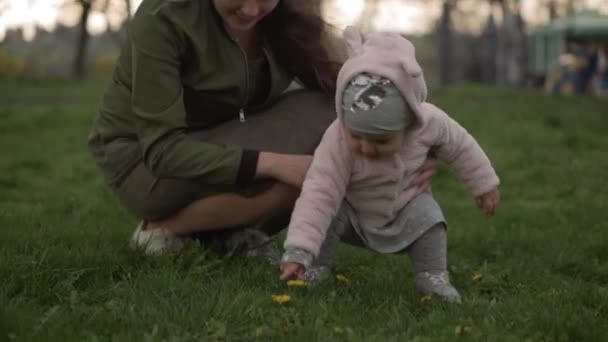 Fiatal nő anya gyűjti a sárga pitypang virágok a kislány sétál a füvön a Spring Park. Boldog szép csecsemő gyermek megteszi az első lépéseket Játssz jó szórakozást a naplementében. Gyermekkori szabadidő — Stock videók