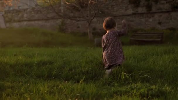 Auténtica niña linda bebé en vestido caminando en el parque en la hierba alta al atardecer de primavera. niño juguetón rastrillo césped en la naturaleza durante la salida del sol. Infancia, paternidad, familia, concepto de estilo de vida — Vídeo de stock