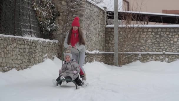 休暇、ゲーム、家族のコンセプト- slo-mo本物の3幸せな就学前の幼児の子供たち若いワンワンのお母さんと兄弟そりや雪と遊ぶ。冬の庭の寒い季節の天気の降雪屋外 — ストック動画