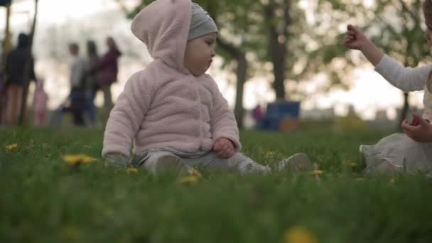 Familia, amistad, conceptos de la infancia: la pequeña hermana da una flor púrpura a la niña bebé en el parque de primavera. Niños felices amigos tienen tulipanes de olor divertido al atardecer. Tiempo libre Naturaleza — Vídeo de stock