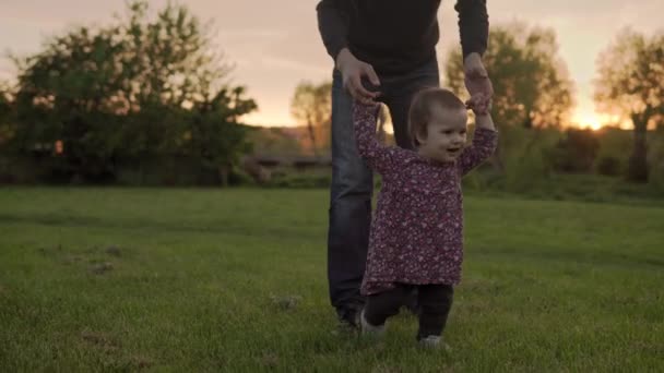 Emberek a parkban. Boldog család sziluett naplementekor. Apa és a baba kéz a kézben futnak, sok időt töltenek. szülők és vicces gyerekek sétálnak a szabadban a szabadban. Apák napja, gyermekkor, szülőség fogalma — Stock videók