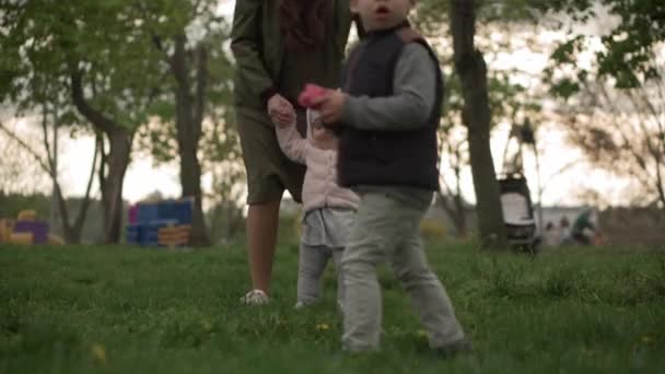 Jonge vrouw moeder leren lopen kleine dochtertje meisje lopen op gras in het voorjaar park. Happy baby kind eerste stappen zetten Spelen veel plezier bij zonsondergang. Familie Kindertijd Vrije tijd buiten de natuur — Stockvideo