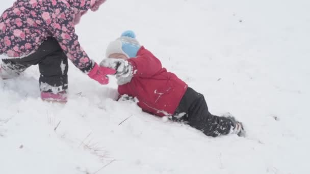 Vacation, game, family concept - slo-mo authentic Two happy preschool toddler kids siblings slide down the hill and help each other climb up. snowfall in cold season weather in winter park outdoors — Stock Video