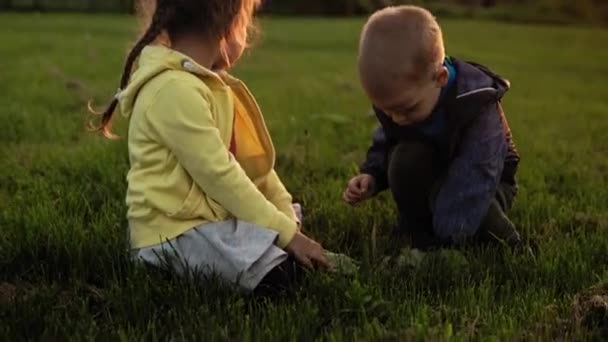 Autentico carino due piccoli bambini della scuola materna ragazza e ragazzo che camminano nel parco su erba alta al tramonto primaverile. Bambini che sembrano confusi sotto i piedi. Infanzia, paternità, famiglia, concetto di stile di vita — Video Stock