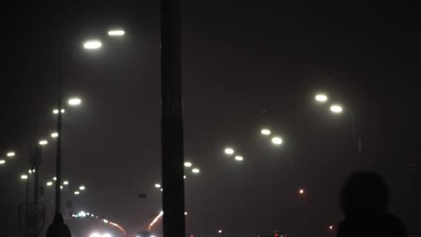 Increíble nevada en la noche carretera de la ciudad en el fondo de la linterna a principios de invierno. paisaje urbano por la noche. La gente se apresura a casa en Nochebuena. Clima, Fenómenos Naturales, Feliz Año Nuevo, Transporte Urbano — Vídeo de stock