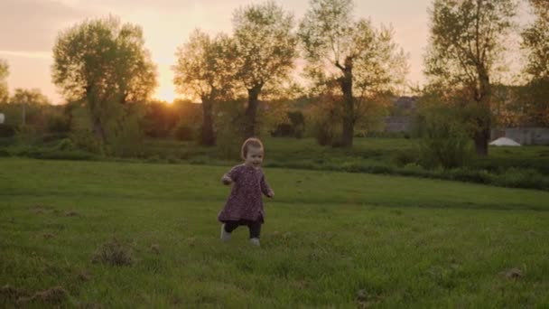 Hiteles aranyos kis csecsemő lány ruha séta parkban magas fű tavaszi naplementekor. játékos gyermek mászik gyep a természetben napkeltekor. Gyermekkor, szülőség, család, életmód koncepció — Stock videók