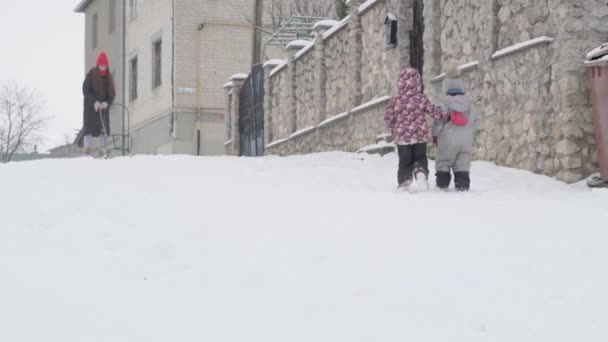 Wakacje, gra, koncepcja rodziny - slo-mo autentyczne Dwa zmęczone przedszkolne dzieci rodzeństwo dzieci w kapeluszu i rękawiczki wspiąć się na wzgórzu razem. opady śniegu w zimnym sezonie pogoda w parku zimowym na zewnątrz — Wideo stockowe