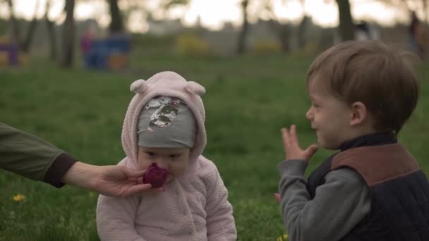 Rodina, přátelství, pojetí dětství - Malý batole bratr dává fialovou květinku na dítě holčička v jarním parku. Šťastné děti přátelé se baví vůně tulipánů při západu slunce. Povaha volného času — Stock video