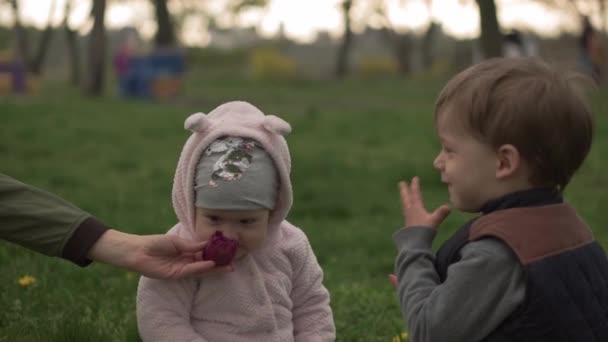 Familia, amistad, conceptos de la infancia - Pequeño hermano pequeño da flor púrpura a bebé niña en el parque de primavera. Niños felices amigos tienen tulipanes de olor divertido al atardecer. Tiempo libre Naturaleza — Vídeo de stock