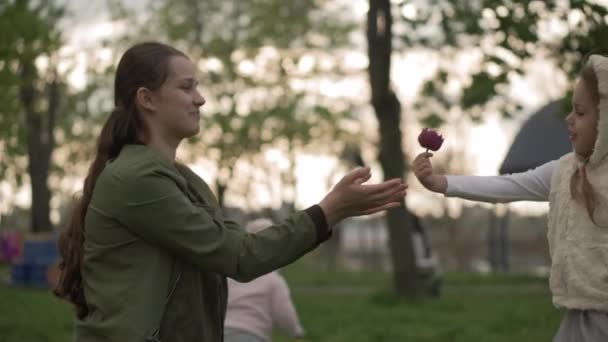 Семья, материнство - молодая женщина мать дарит фиолетовый цветок дочке малыша в весеннем парке. Счастливая красивая мама с ребенком весело запах тюльпанов на закате. Детский досуг — стоковое видео
