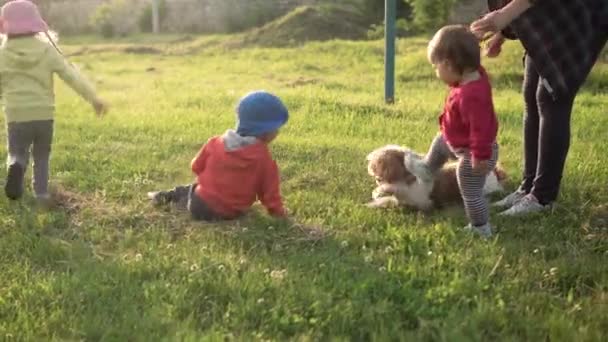 夏、休暇、自然、幸せな家族、子供時代、友情、ペット- 2人の小さな幼児就学前の子供お母さんの赤ちゃんの子供たち双子の兄弟は、日没時に芝生の公園で楽しい散歩犬を持っています — ストック動画