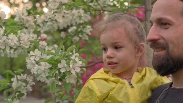 People in park. dad hold baby daughter girl in arms near blossoming apple tree and sniffing flowers. parents and fun children walking outdoors in open air. Fathers day, childhood, parenthood concept — Stock Video