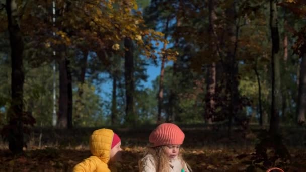 Frații preșcolari caucazieni drăguți autentici copii fată și băiat care mănâncă pe carouri în frunze de gălbenuș căzute în parcul de toamnă sau în pădure. Puştiul şi-a petrecut timpul toamna. Natură, Sezon, Conceptul copilăriei — Videoclip de stoc