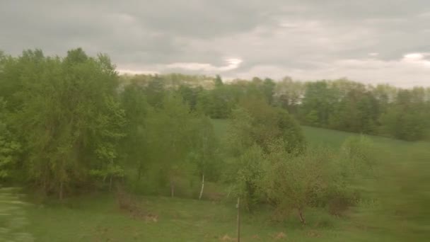 View from window of high-speed train on landscape of beautiful nature wild field and forest on evening cloudy dusk sky sunset in summer background. Transport, travel, railway, communication concept — Stock Video