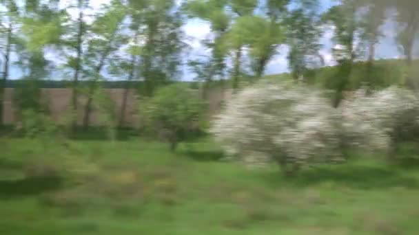 Vista da janela do trem de velocidade com brilho em vidro na bela paisagem do prado e florescendo dia nublado floresta no fundo da natureza verão. Transporte, viagens, estrada, ferrovia, conceito de comnicação — Vídeo de Stock