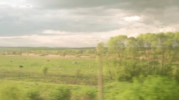 Vue depuis la fenêtre du train à grande vitesse sur le paysage de la belle nature champ sauvage et forêt le soir nuageux crépuscule ciel coucher de soleil en arrière-plan d'été. Transport, voyage, chemin de fer, concept de communication — Video