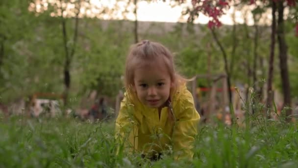 Auténtica linda niña preescolar en rosa amarillo recoger flores en el parque arrastrándose sobre la hierba al atardecer de primavera. niño en la naturaleza durante la salida del sol. Infancia, paternidad, familia, concepto de estilo de vida — Vídeos de Stock