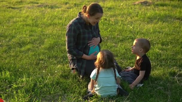 Літо, природа, щаслива сім'я, вагітність - молода вагітна мати з двома маленькими дітьми-малюками сидить на траві в парку на заході сонця. Діти погладжують маму поцілунок живота розважайтеся, смійтеся проводити час разом — стокове відео