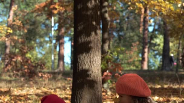 Auténticos pequeños niños preescolares caucásicos lindos niñas bebés hermanas en hojas de color amarillo caído en el parque de otoño o el bosque. Los niños pasan el tiempo. Familia en otoño. Naturaleza, Estación, Concepto de la infancia — Vídeos de Stock