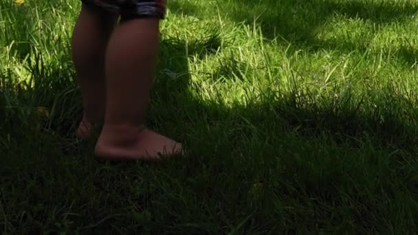 庭や庭の緑の芝生の上を裸足で歩く赤ちゃんの足のクローズアップ。スローモーションの子供は靴なしで牧草地を歩く。子供たちは暑い夏に公園で遊ぶ。子供時代,家族,職業,スポーツの概念 — ストック動画