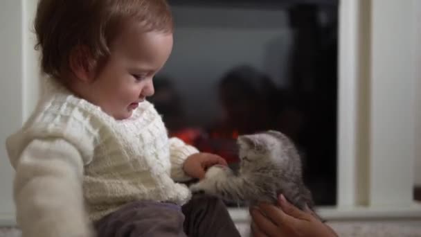 Barnet leker med katten. tomcat på matta nära brinnande öppen spis hemma. randig kattunge leka med boll av tråd. Kitty springer och tittar på kameran. glada bedårande husdjur, barndom, vild natur koncept — Stockvideo