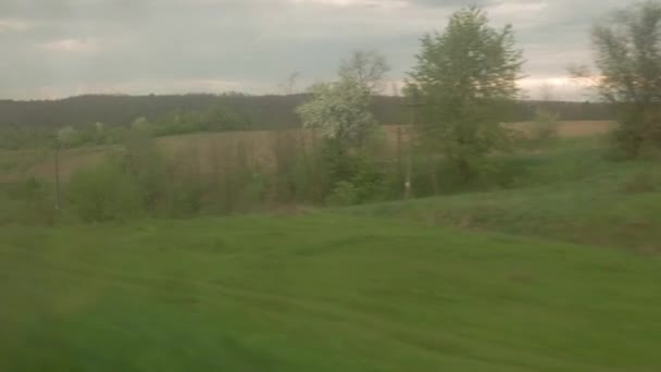 View from window of high-speed train on landscape of beautiful nature wild field and forest on evening cloudy dusk sky sunset in summer background. Transport, travel, railway, communication concept — Stock Video