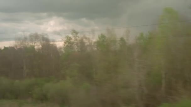 美しい自然野や森の風景の中の高速列車の窓からの眺め夏の背景に夕方曇りの夕暮れの空の夕日。交通、旅行、鉄道、通信の概念 — ストック動画