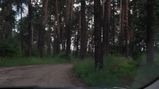 Blick aus dem Auto auf Bewegung auf Feldweg im Wald. Naturspaziergang durch Kiefernwald. Wandern durch den Wald. Touristen reisen durch unwegsames Gelände. Urlaub, Zelten, Freizeit, Richtung Camp-Konzept — Stockvideo