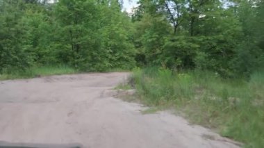 Ormandaki toprak yolda hareket halindeki arabadan manzara. Doğa çam ormanlarında yürüyor. Ormanda yürüyüş. Turistler geçilemez yerlerde seyahat ederler. Tatil, kamp, eğlence, kamp konseptine gitmek.