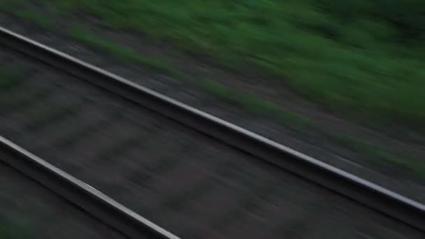 美しい自然の野生のフィールドや森林鉄道のトラックの風景の中に窓の高速列車からの眺め夏の背景に夕日のレール。交通、旅行、鉄道、通信の概念 — ストック動画