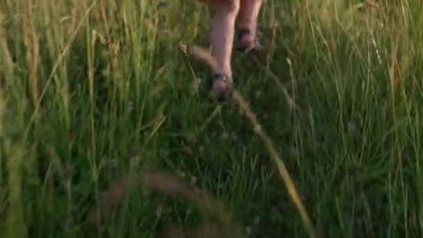 Linda niña preescolar en vestido amarillo trepando por el sendero en la hierba alta antes del atardecer. Niño caminando en el prado de campo salvaje. Niños felices en las montañas. infancia, naturaleza, estilo de vida, concepto de verano — Vídeo de stock