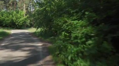 Ormandaki toprak yolda hareket halindeki arabadan manzara. Doğa çam ormanlarında yürüyor. Ormanda yürüyüş. Turistler geçilemez yerlerde seyahat ederler. Tatil, kamp, eğlence, kamp konseptine gitmek.