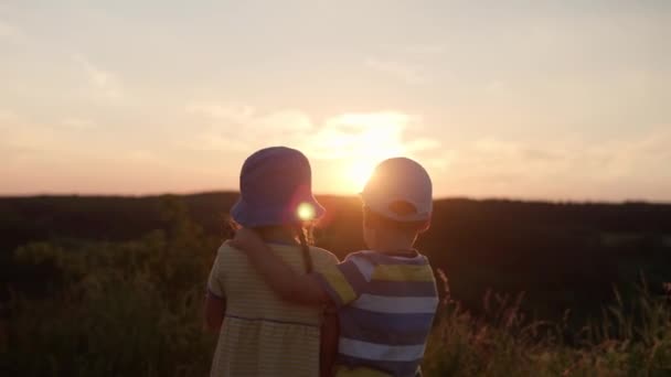 かわいい幸せな就学前の赤ちゃんカップル抱擁し、日没前に背の高い草の中の山の上に距離を調べる。畑の牧草地を歩く子供。子供時代自然生活友情夏のコンセプト — ストック動画