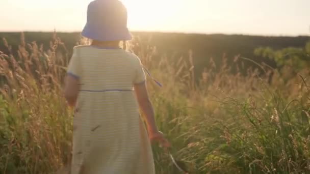 Autentyczne słodkie przedszkolak dziewczynka przędzenia jak samolot na szczycie góry w wysokiej trawie przed zachodem słońca. Dziecko spacerujące na łące. Szczęśliwej wolności dzieci. dzieciństwo, natura, styl życia, koncepcja lata — Wideo stockowe