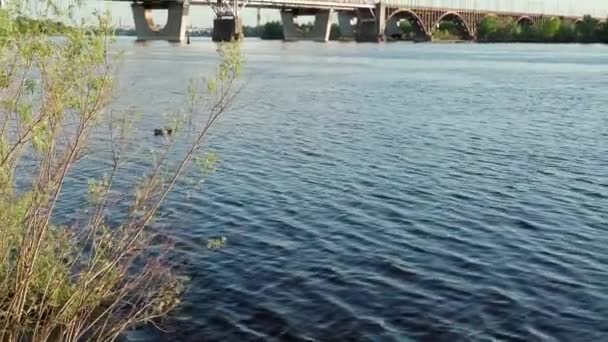 Vue mobile pêche voilier à moteur sur la rivière Dnipro au lever du soleil coucher du soleil. paysage de pont industriel sur le lac en ville. camion et voiture passe au-dessus de l'étang sur le transport maritime ensoleillé journée d'été, Voyage — Video