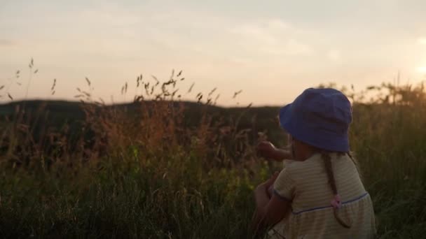 Linda niña preescolar en vestido amarillo sentarse en la cima de la montaña en la hierba alta antes de la puesta del sol. Niño caminando en el prado de campo salvaje. Niño feliz en las montañas. infancia, naturaleza, estilo de vida, concepto de verano — Vídeo de stock