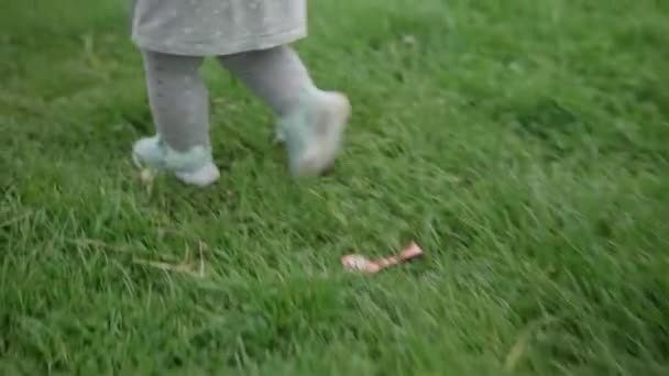 Cute pretty toddler little baby daughter girl walking on grass in spring park. Happy infant child take first steps Playing have fun At Autumn. Family, Childhood, Leisure Time outside, nature concept — Stock Video